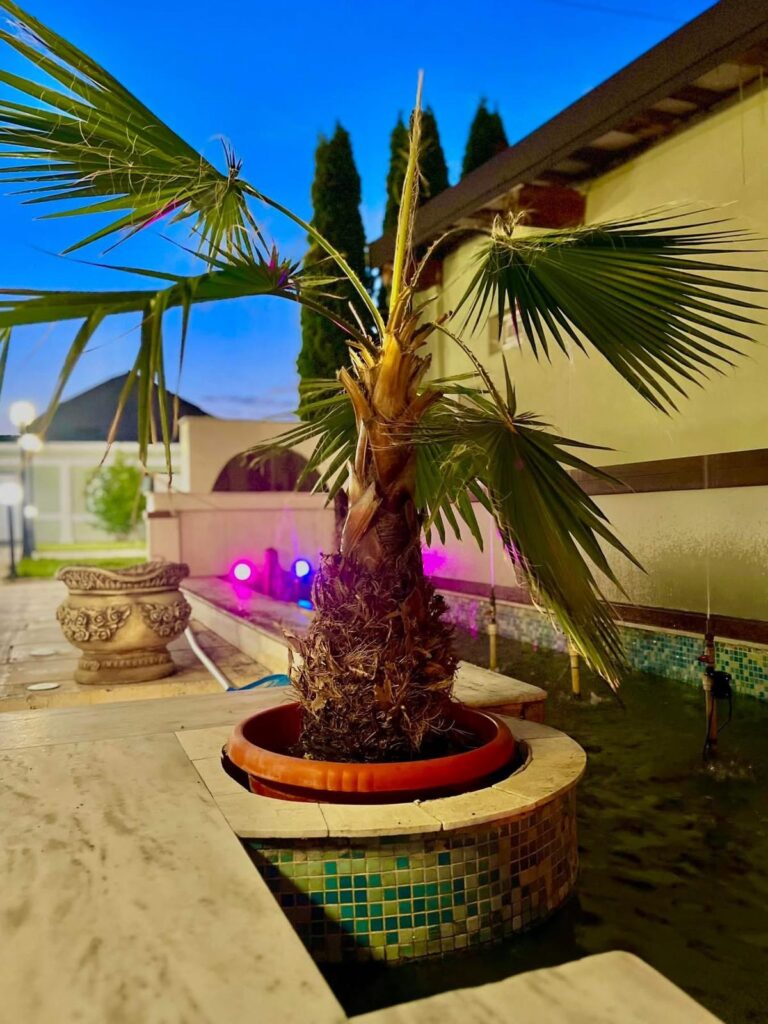 PHOTO-2025-10-12-23-34-59 6